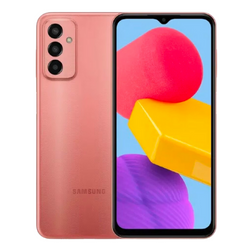 Samsung F13 repair